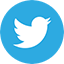 Twitter Logo